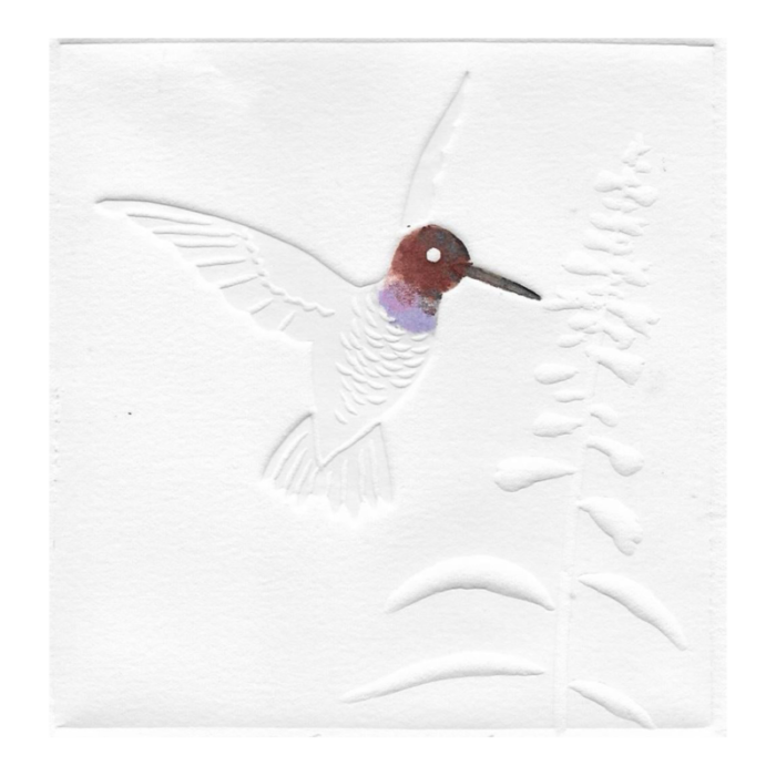 1980s hummingbird embossed color etching 8199