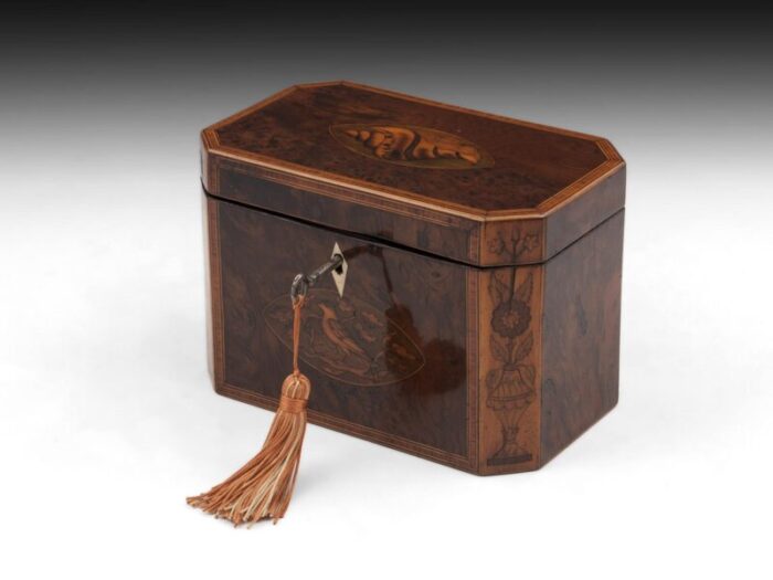 Burr Yew Tea Caddy 10 master