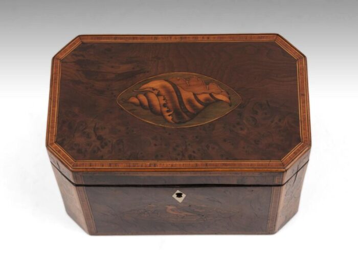 Burr Yew Tea Caddy 2 master