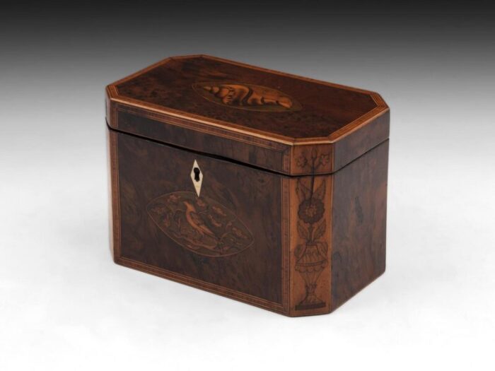 Burr Yew Tea Caddy 3 master