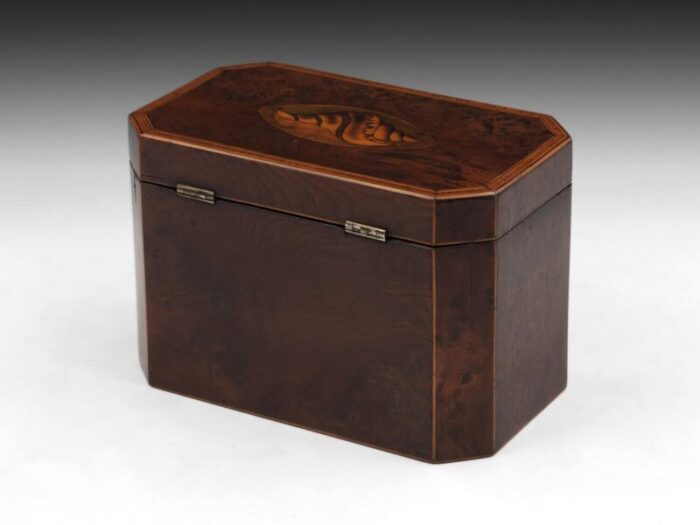 Burr Yew Tea Caddy 4 master