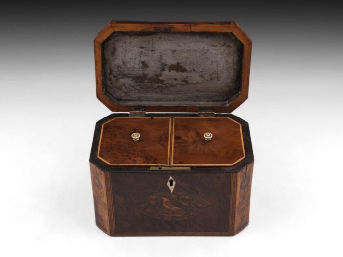 Burr Yew Tea Caddy 6 master