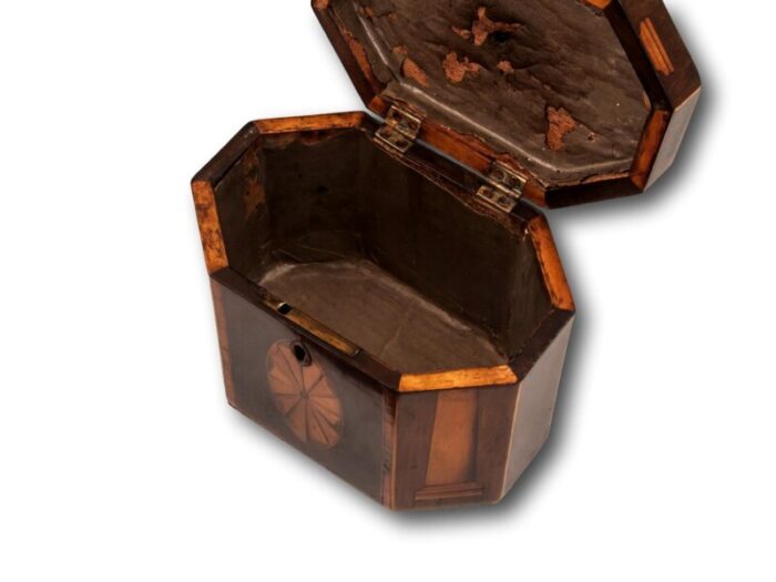 Georgian Harewood Inlaid Tea Caddy 500406 7 master