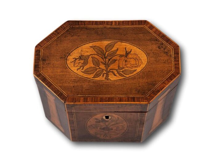 Georgian Harewood Tea Caddy 500763 3 master