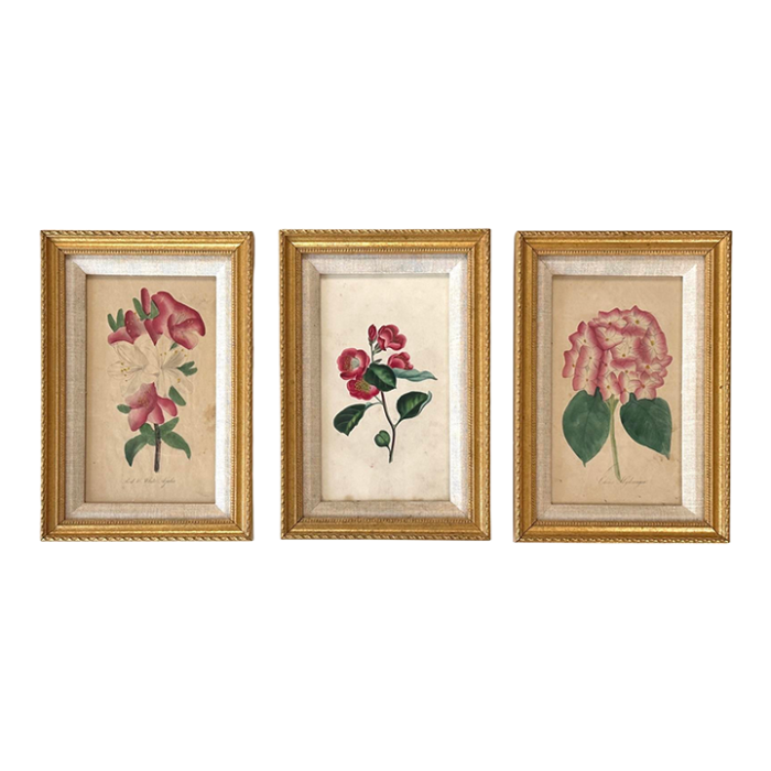 antique 19th century hand painted watercolor victorian botanical prints in gilt frames 1417