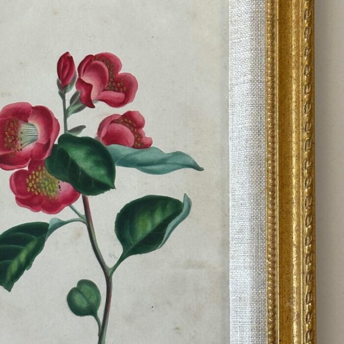 antique 19th century hand painted watercolor victorian botanical prints in gilt frames 1531