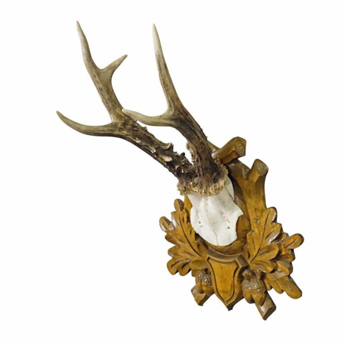 black forest vintage deer trophy on carved plaque 0194