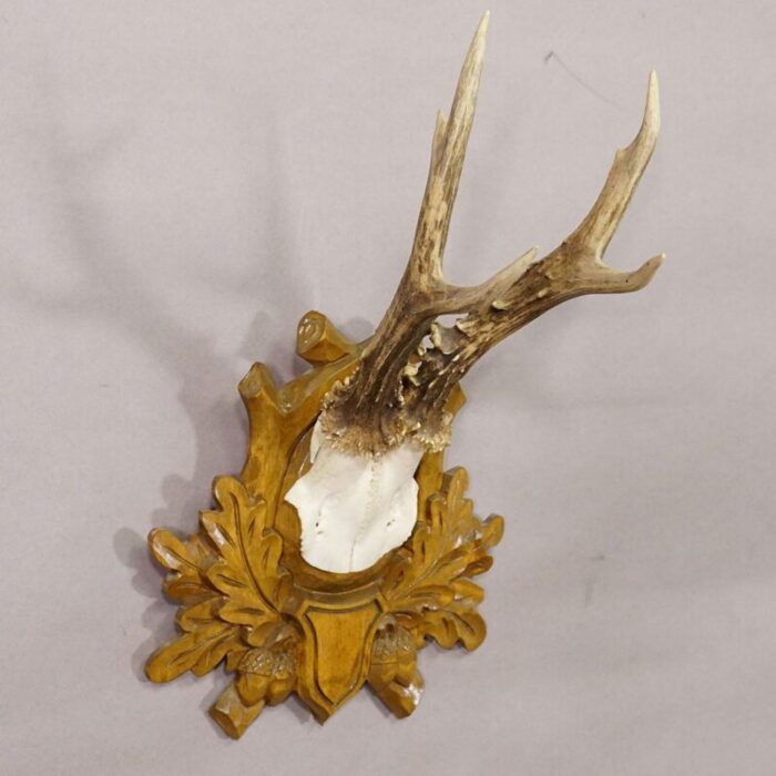 black forest vintage deer trophy on carved plaque 1288