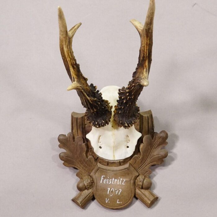 black forest vintage deer trophy on carved plaque 1947 0129