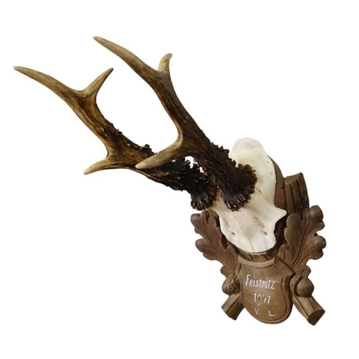 black forest vintage deer trophy on carved plaque 1947 2085