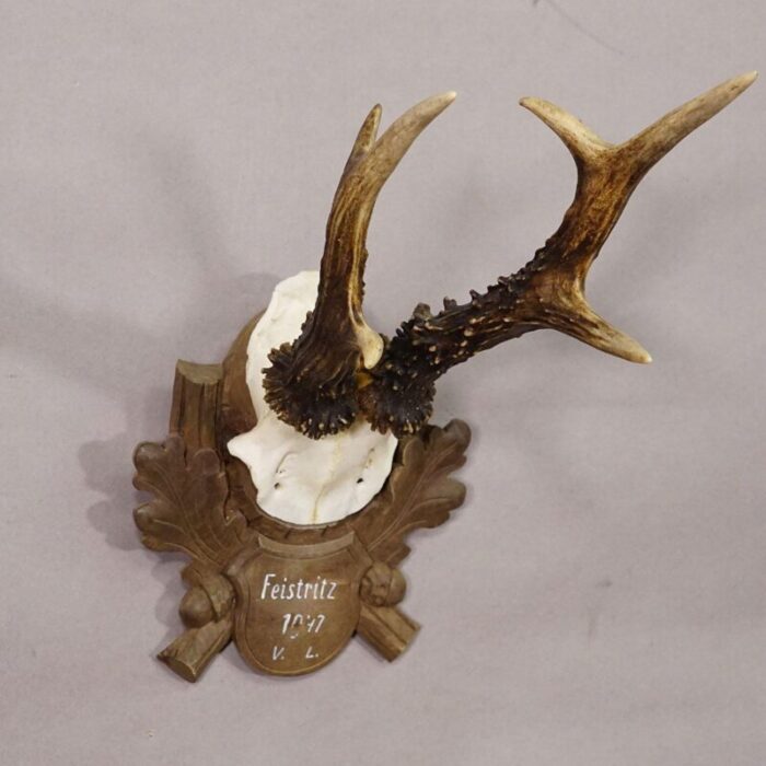 black forest vintage deer trophy on carved plaque 1947 7137