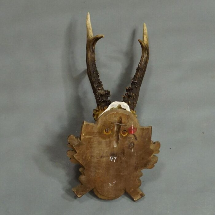 black forest vintage deer trophy on carved plaque 1947 7330