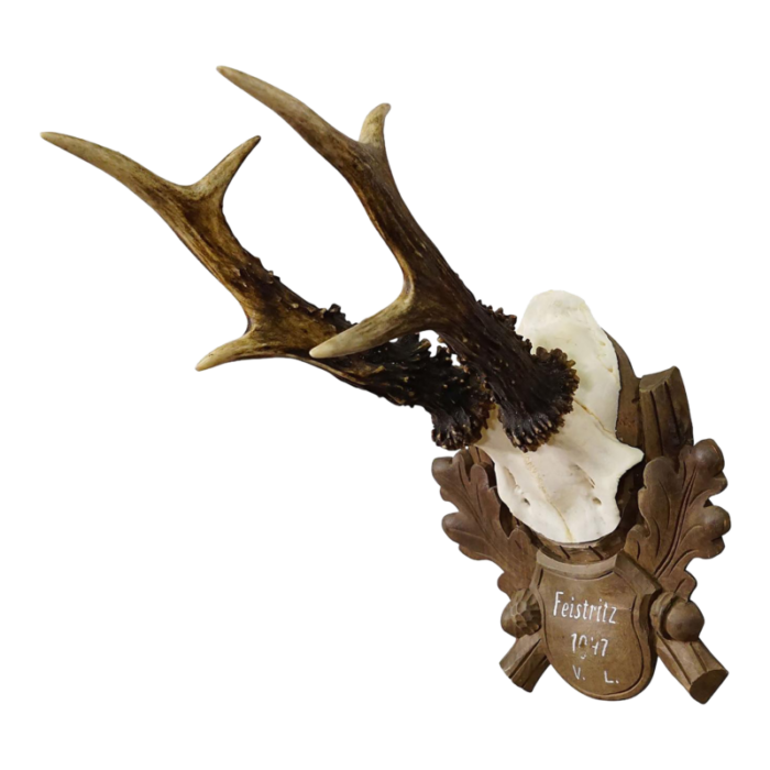 black forest vintage deer trophy on carved plaque 1947 9875