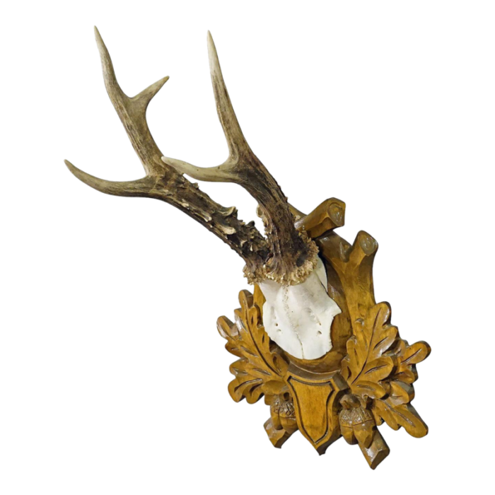 black forest vintage deer trophy on carved plaque 4054