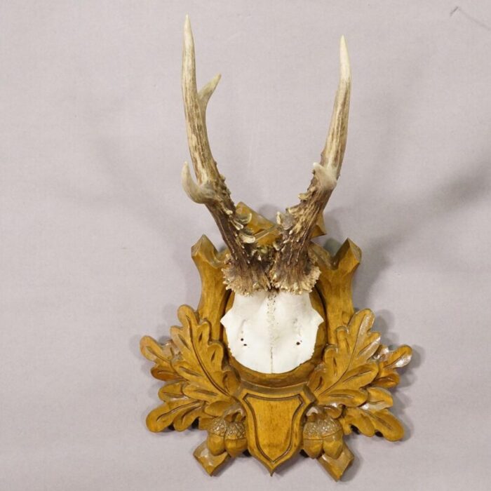 black forest vintage deer trophy on carved plaque 4471