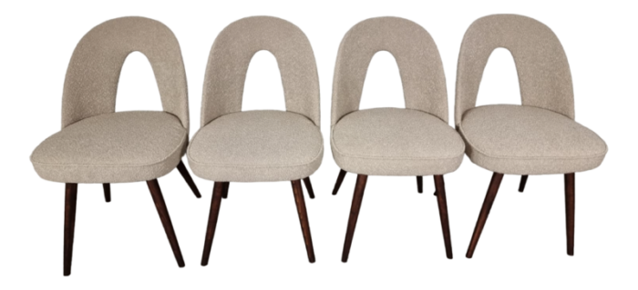 dining chairs by antonin suman 1960s set of 4 8844