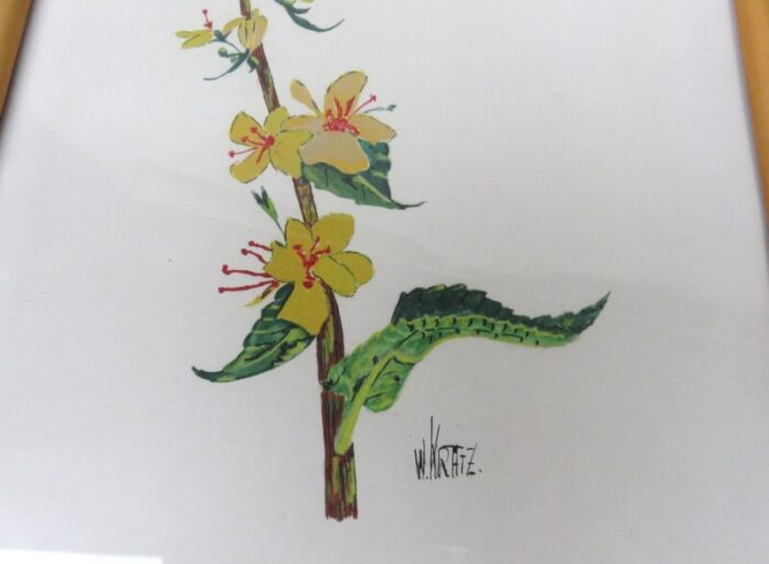 flowers watercolor by w kratz 1950s set of 4 18