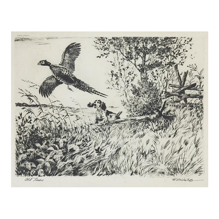 mid 20th century bird dog and pheasant etching 7844