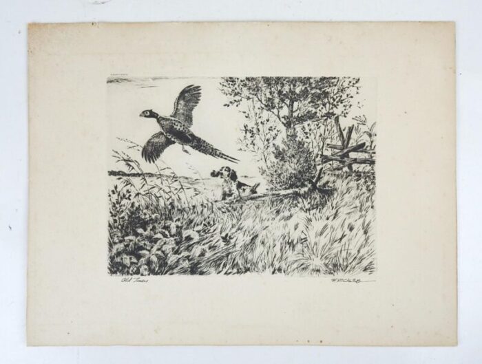 mid 20th century bird dog and pheasant etching 8479