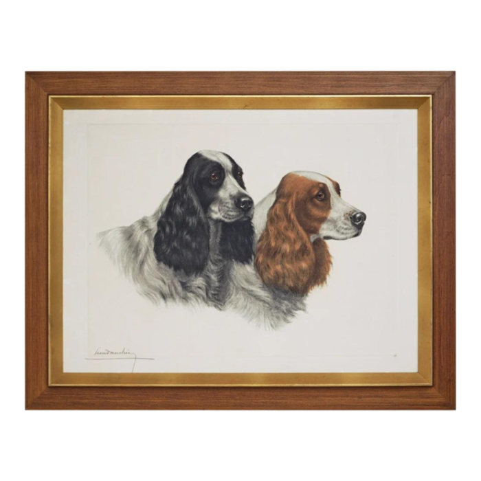 mid 20th century danchin framed springer spaniel etching sporting dog art 7851