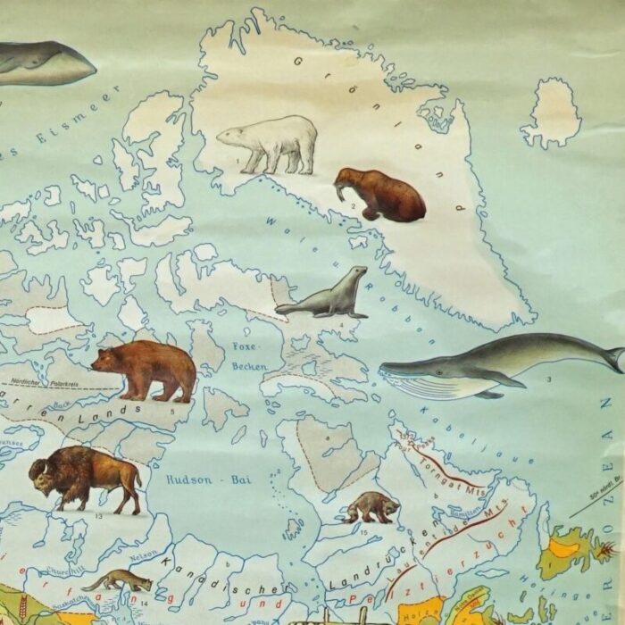 north america land use and livestock picture map 1970s 3