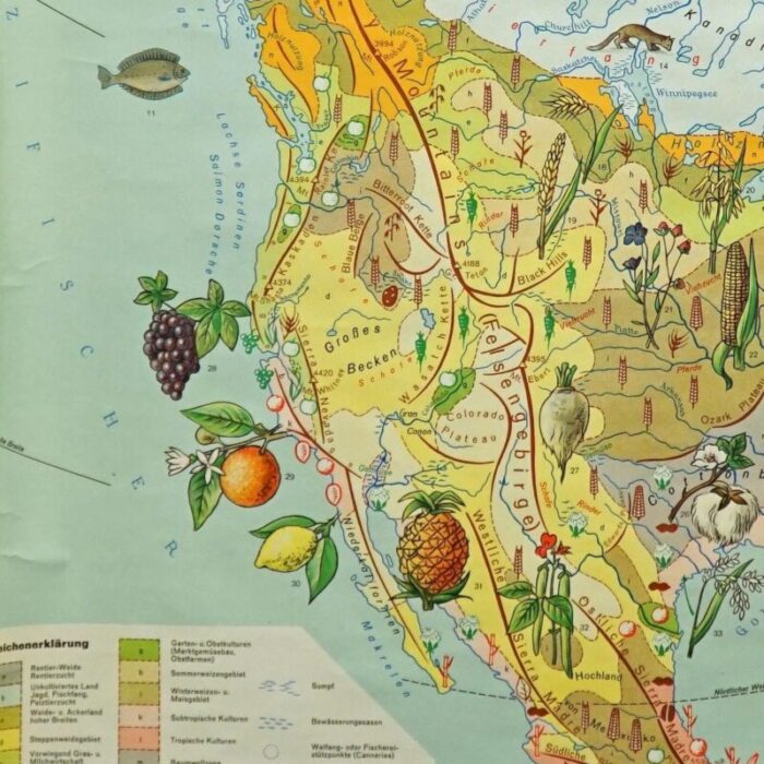 north america land use and livestock picture map 1970s 4