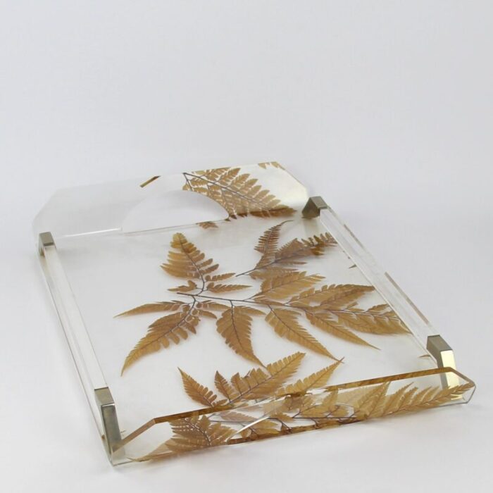 tray in methacrylate with dry leaves in the style of aldo tura 4