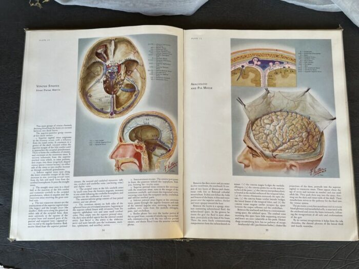 vintage medical illustrations book 7135